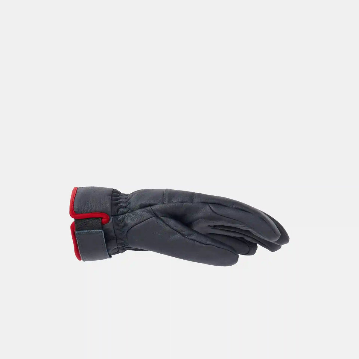 Men's Alpha Leather Ski Gloves